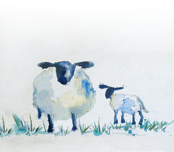 Sheep Illustration - Wool Throws - Hug at Home