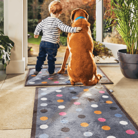 A young boy hugging a dog at the front door