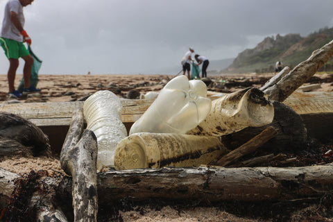 Plastic Bottle on Beach - Unsplash