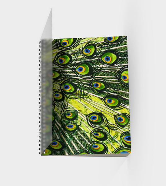 Peacock Spiral Bound Sketchbook Back Cover