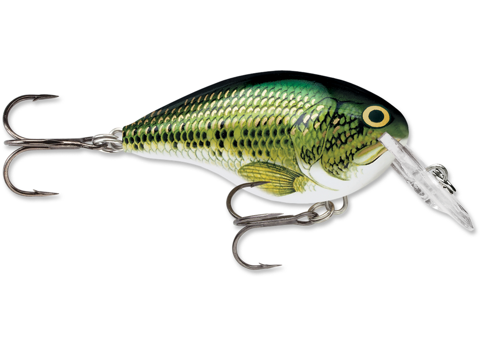 dt4 rapala crankbait