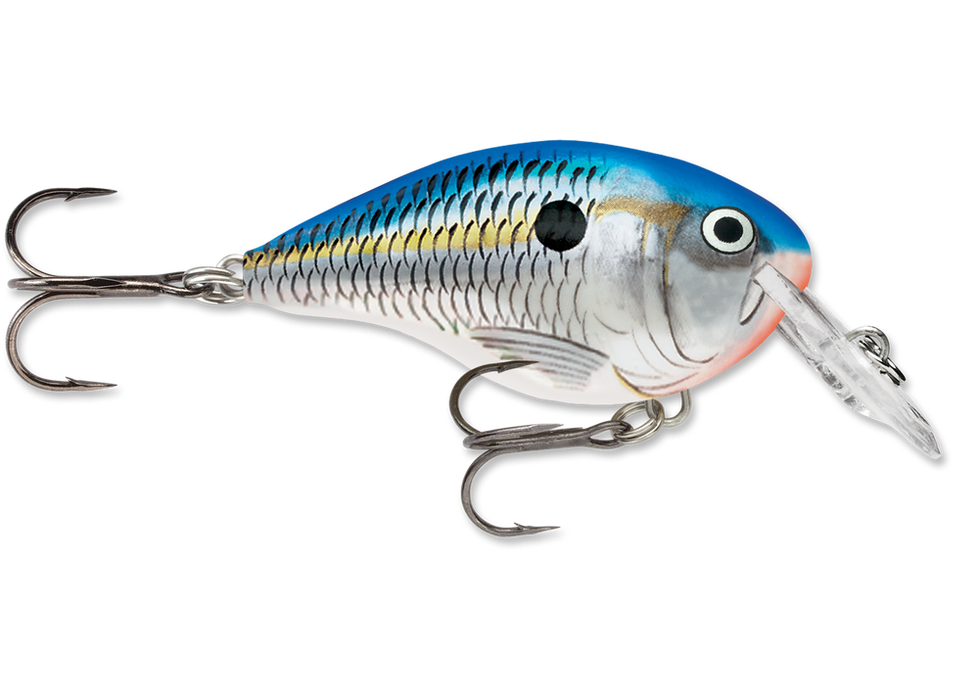 rapala dt4 crankbaits