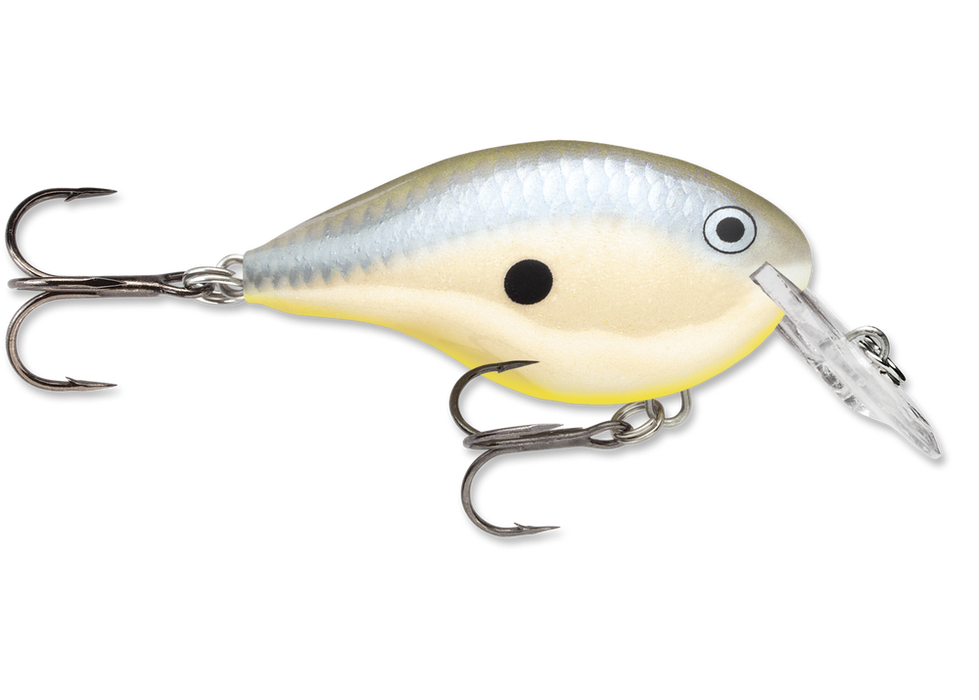 dt4 rapala crankbait