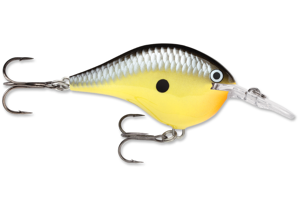 Rapala DT Series Crankbait DT6 Disco Shad DT06DSSD American Legacy Fishing,  G Loomis Superstore