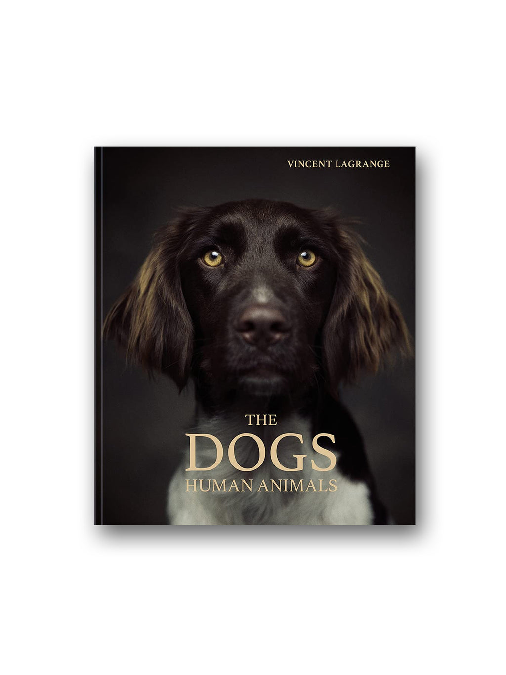 The Dogs : Human Animals