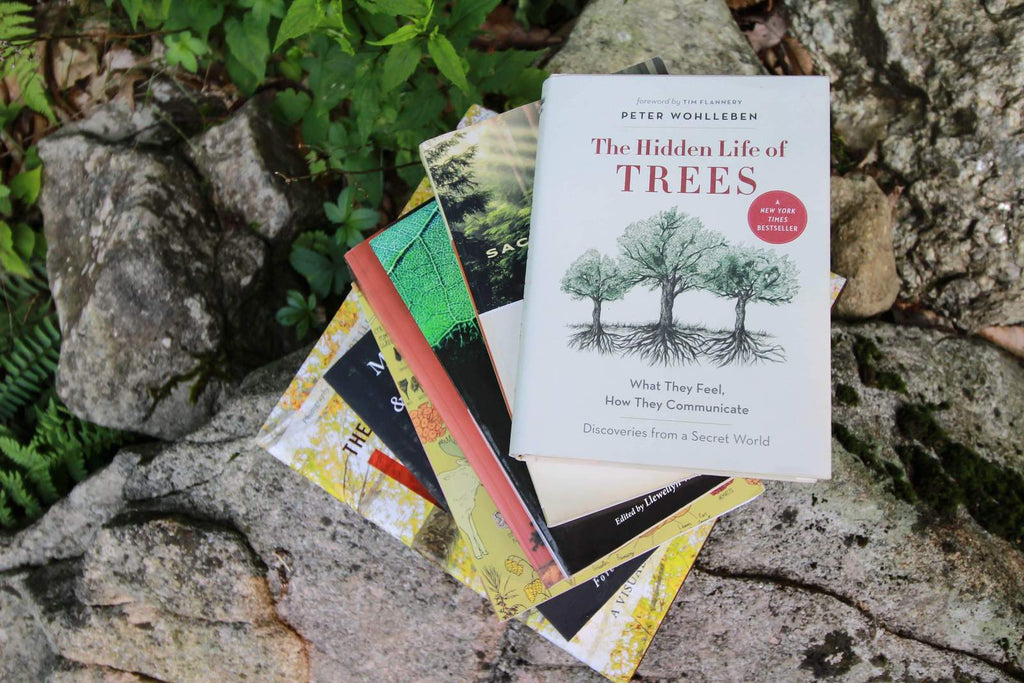 24 Best Books About Nature And Trees One Tree Planted