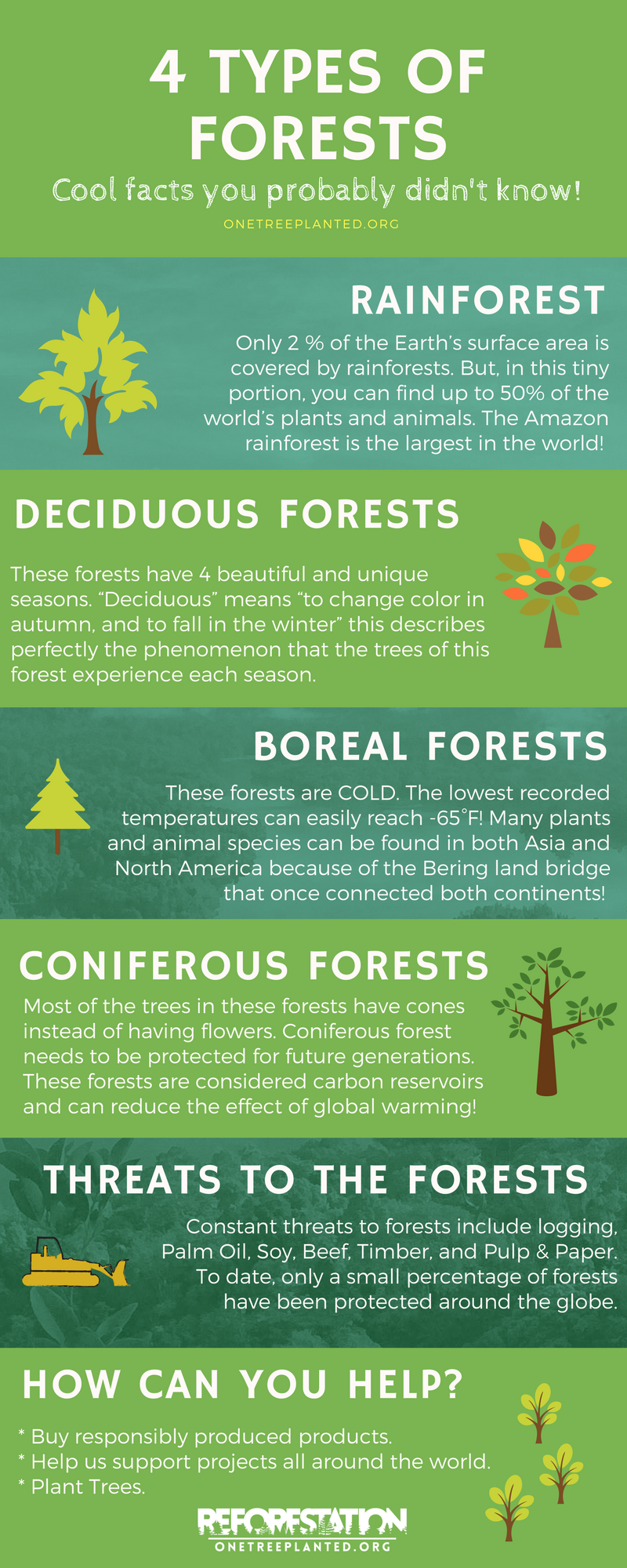 Types Of Forests World Map