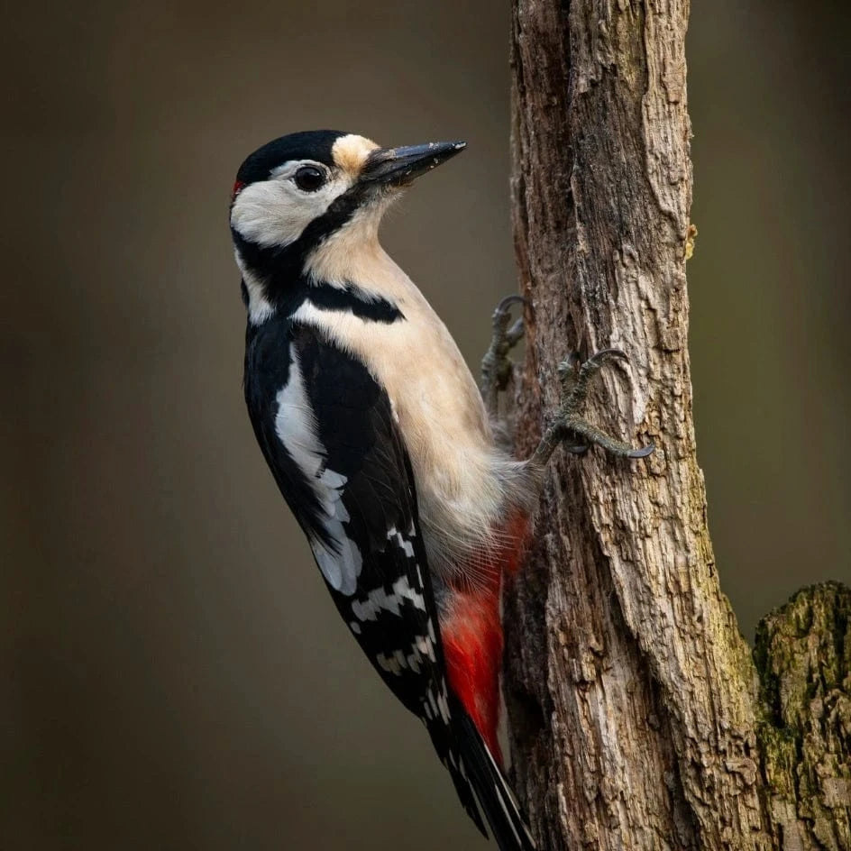 Healthy Ecosystems
