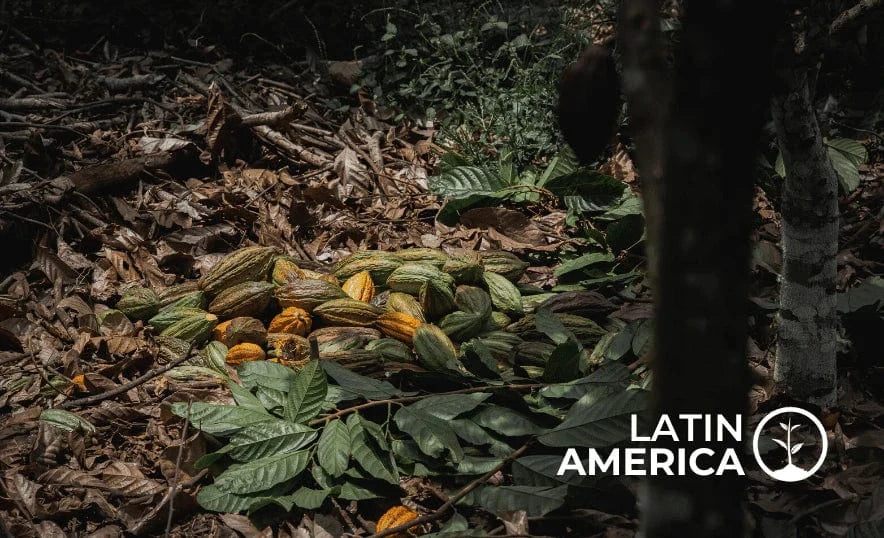 Latin America