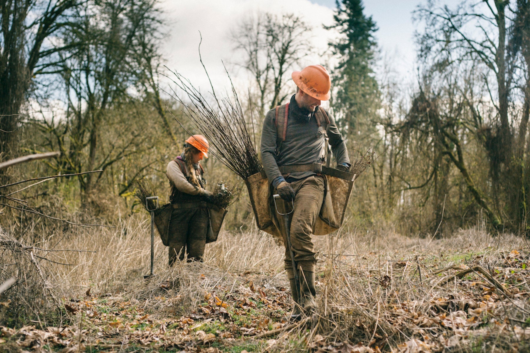 oregon tree planters