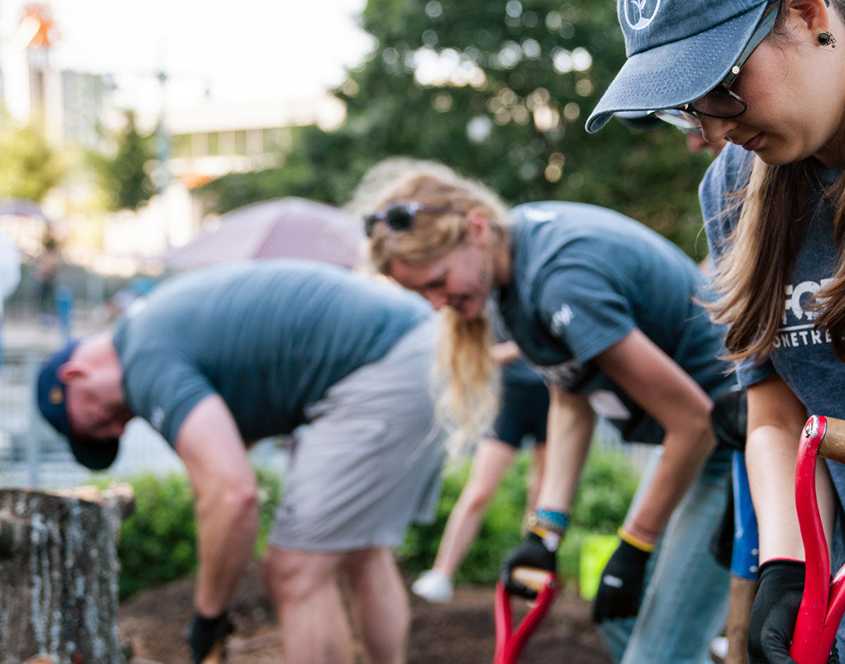 Urban Forestry