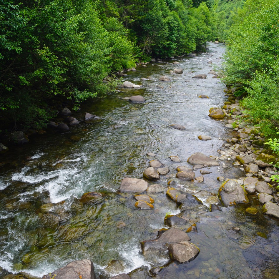 Water Quality Improvement