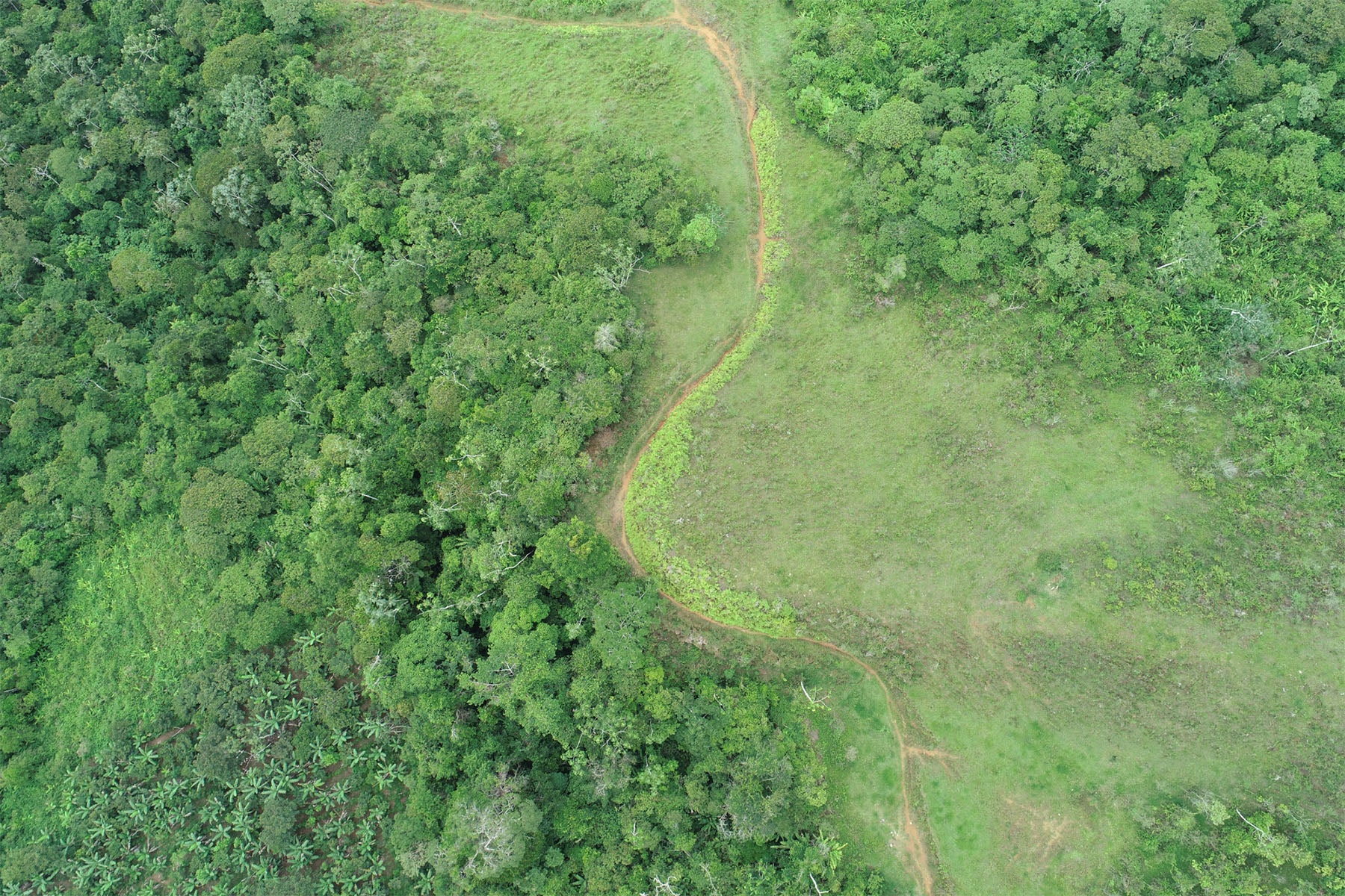 aerial shot drone monitoring