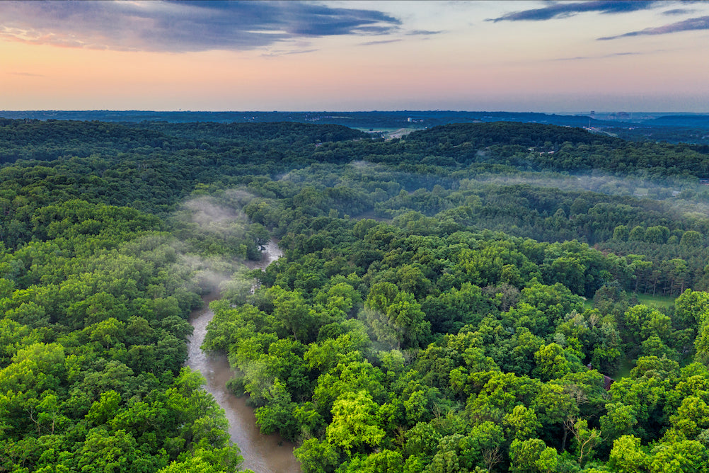 aerial river forest