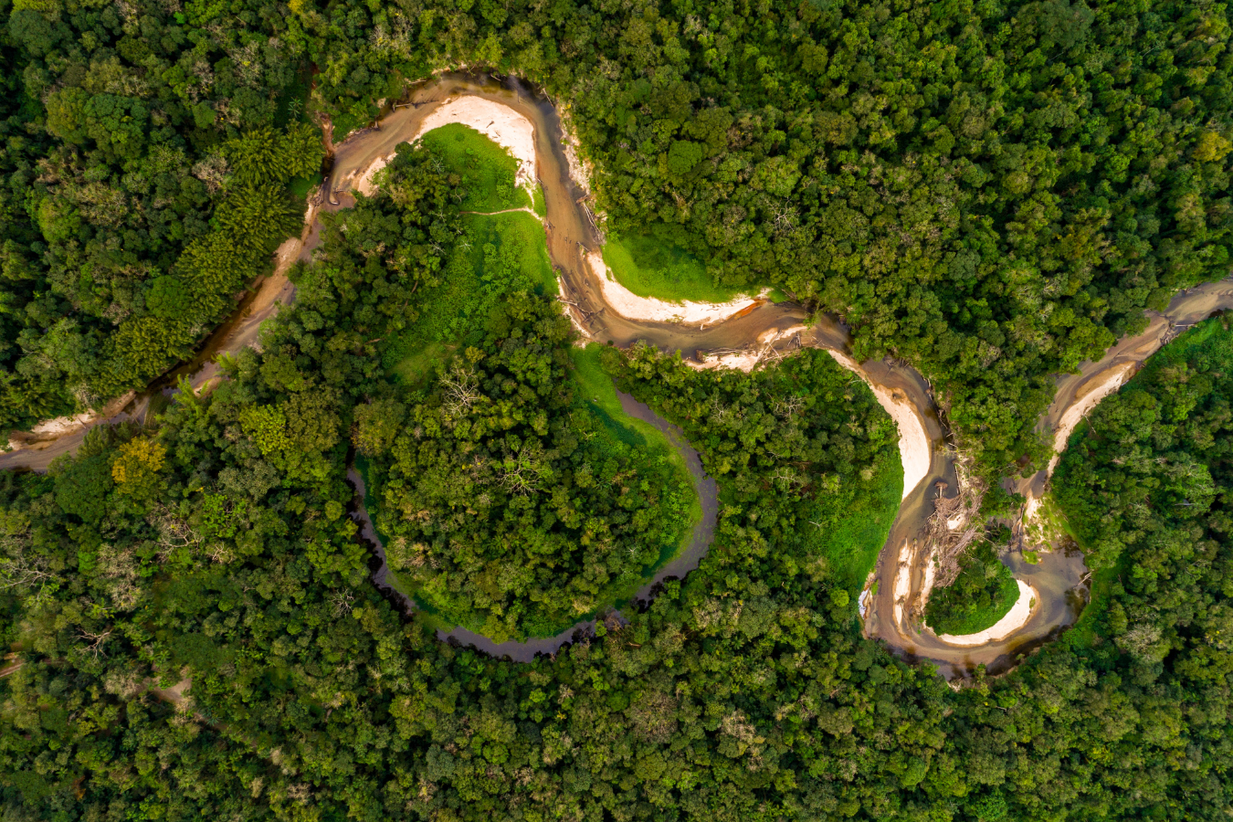 amazon river