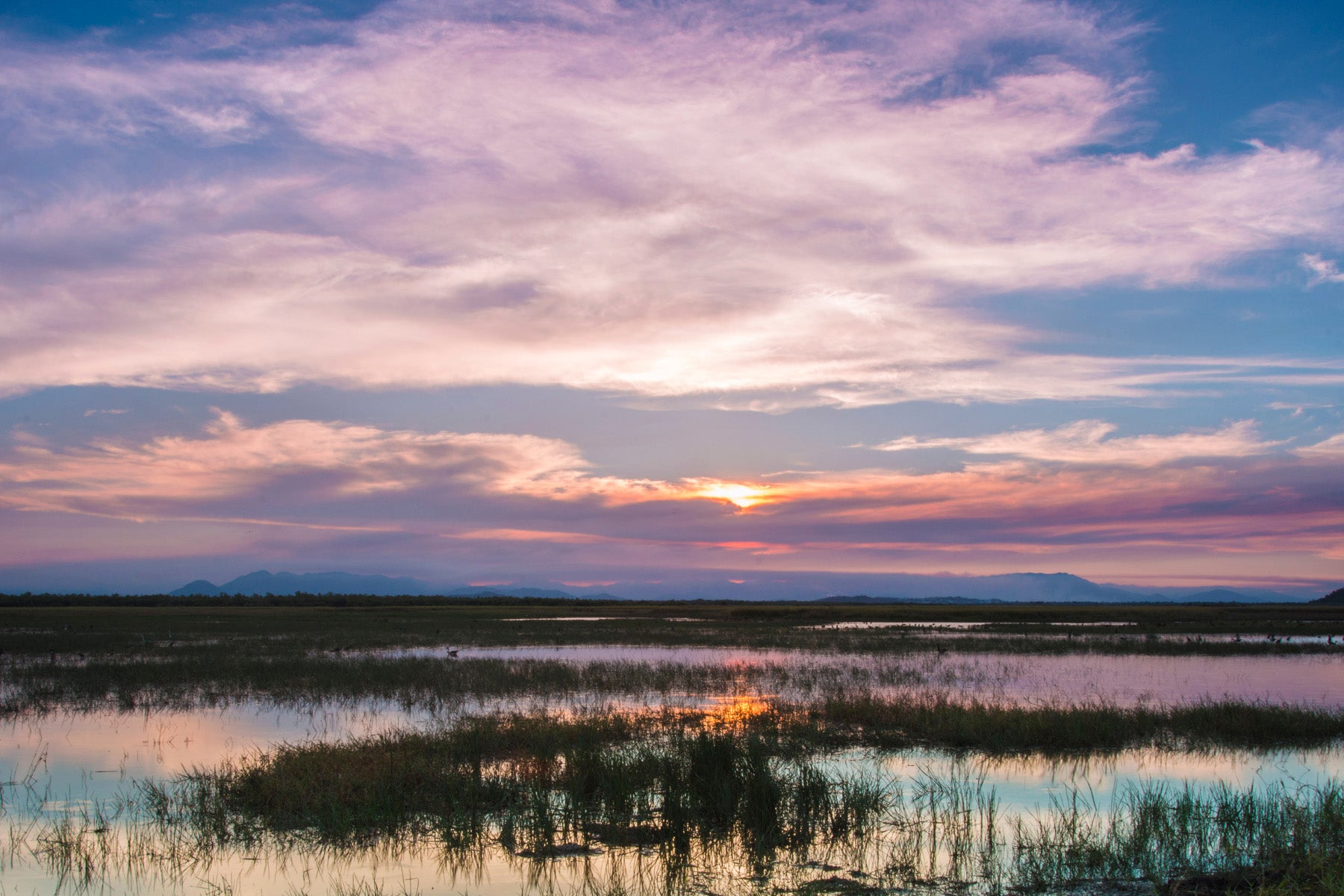 beautiful wetland sunset