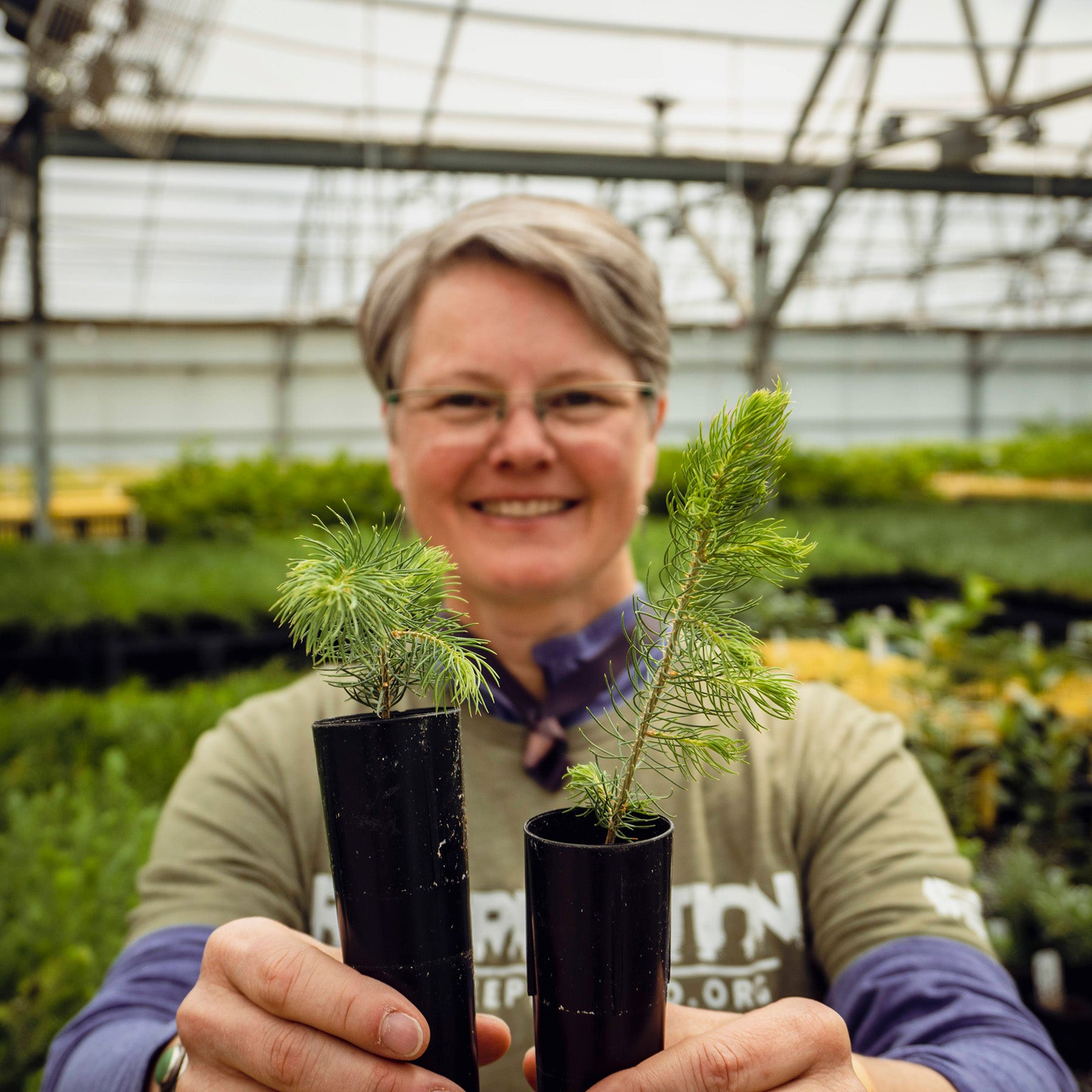 one tree planted breece forest fest earth day