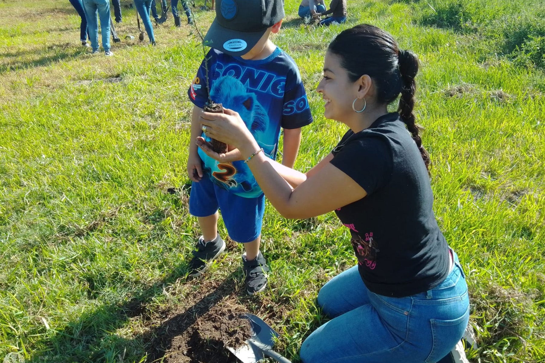 plant a tree day 2022 california