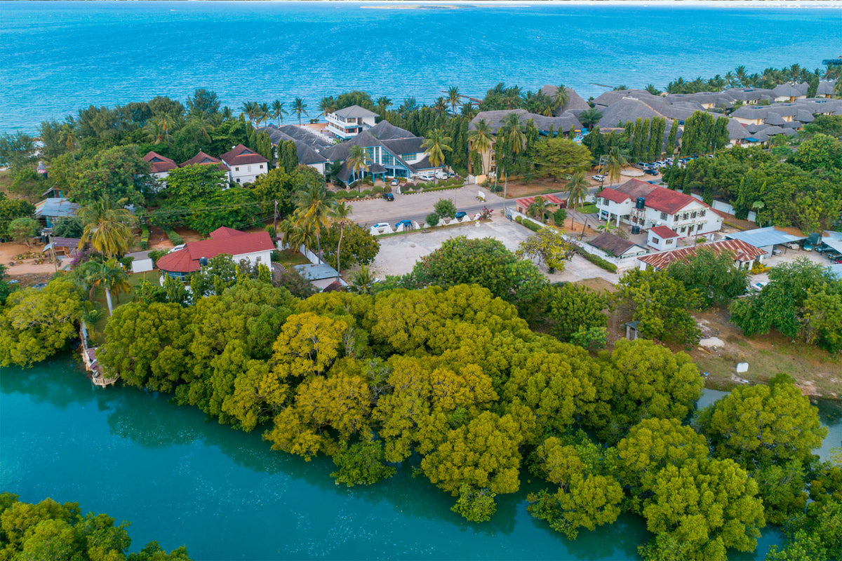 coastal community mangrove