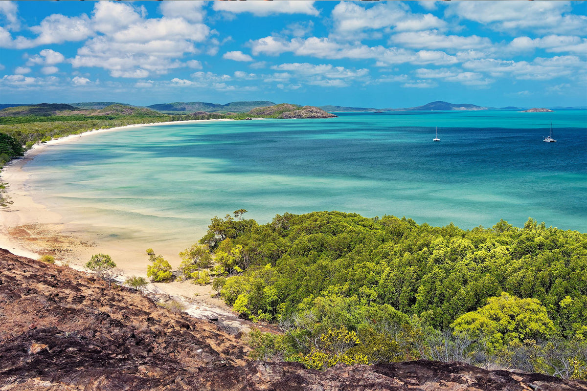 mangrove coastline