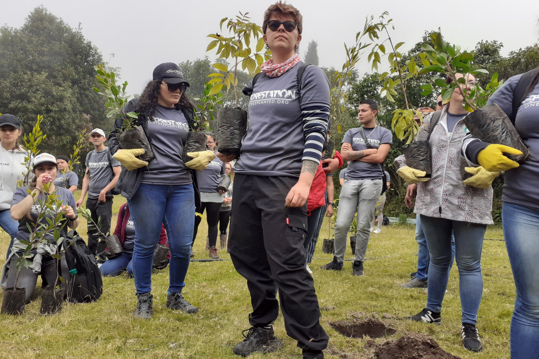plant a tree day 2022 colombia