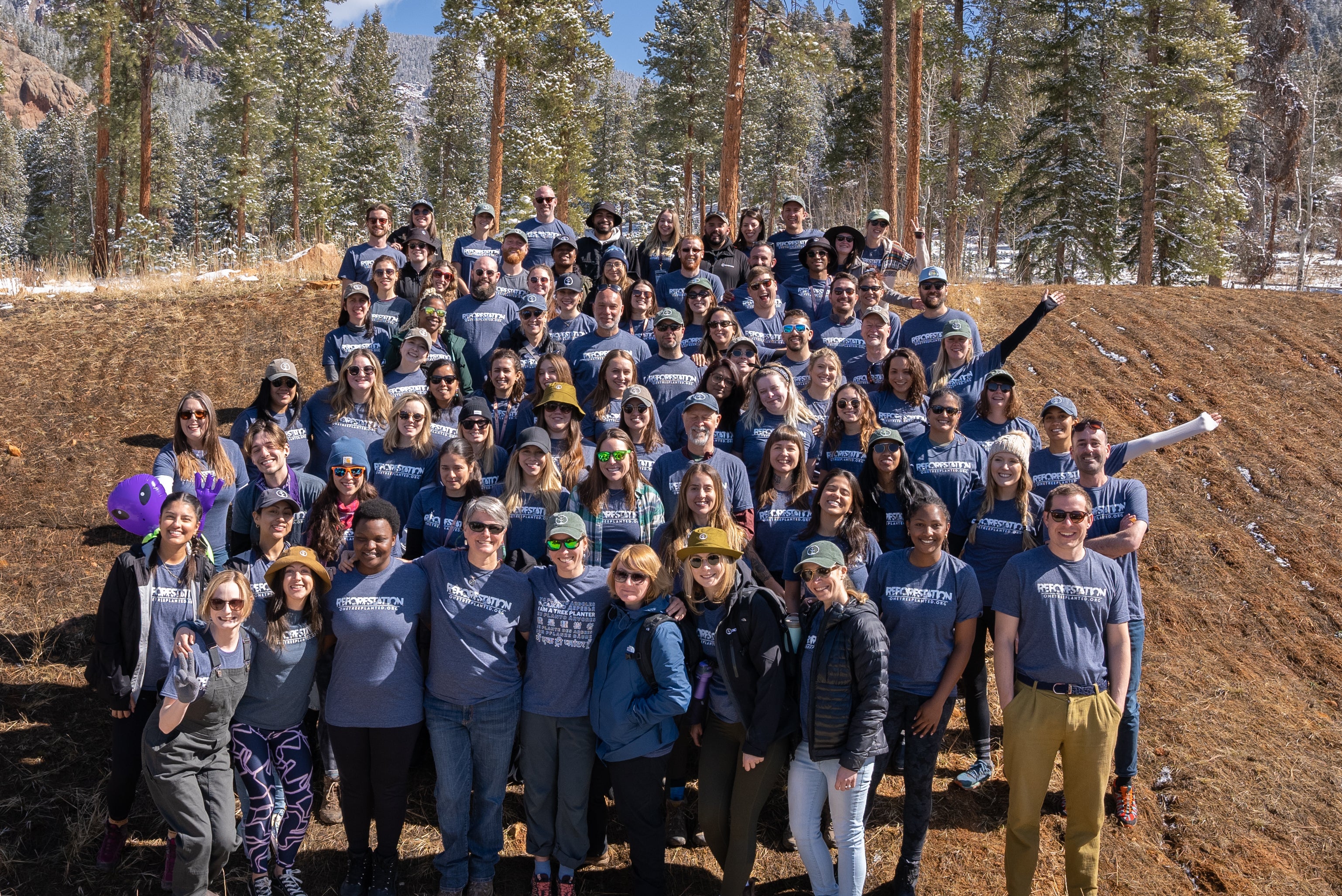 one tree planted forest fest