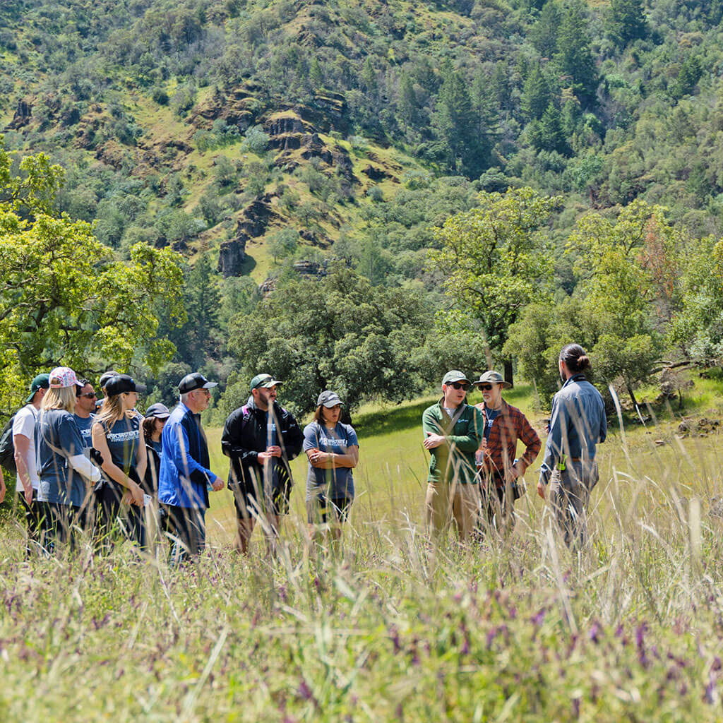 Team members on guided walking tour in nature