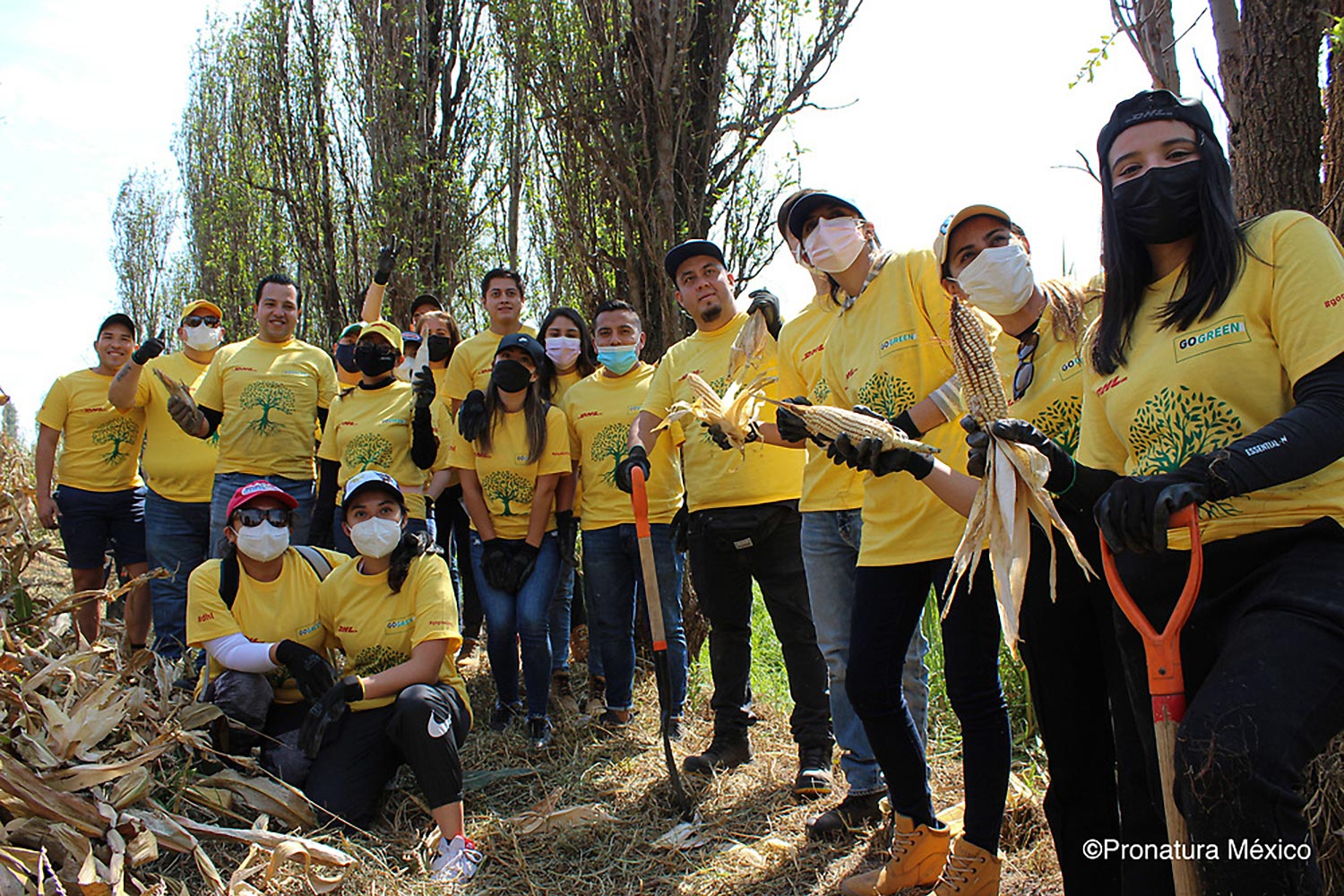 Group of employees at tree planting event in Mexico