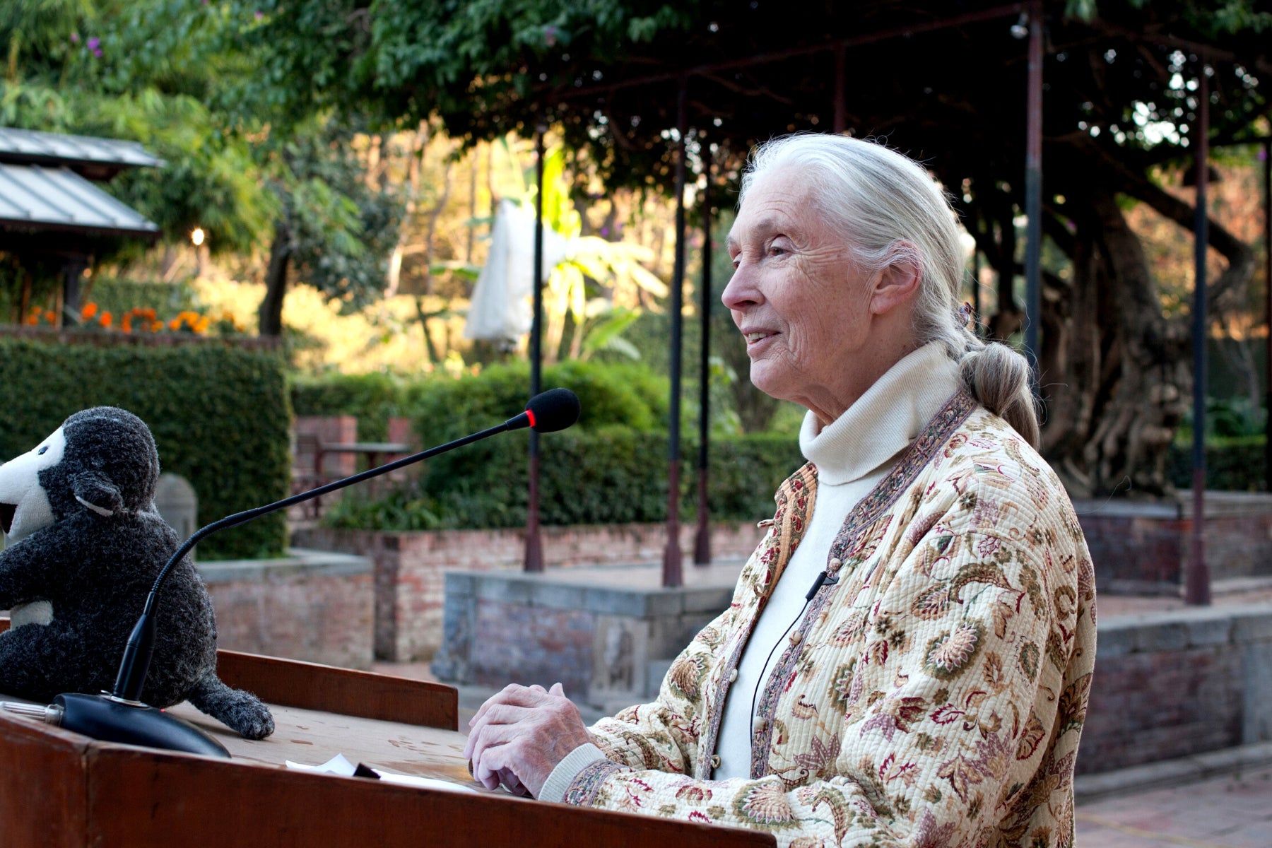 jane goodall activist