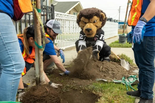 Community Plantings in Los Angeles - LA Kings