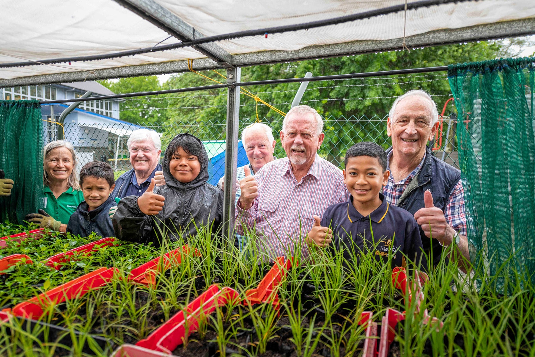 learning how to plant a tree new zealand