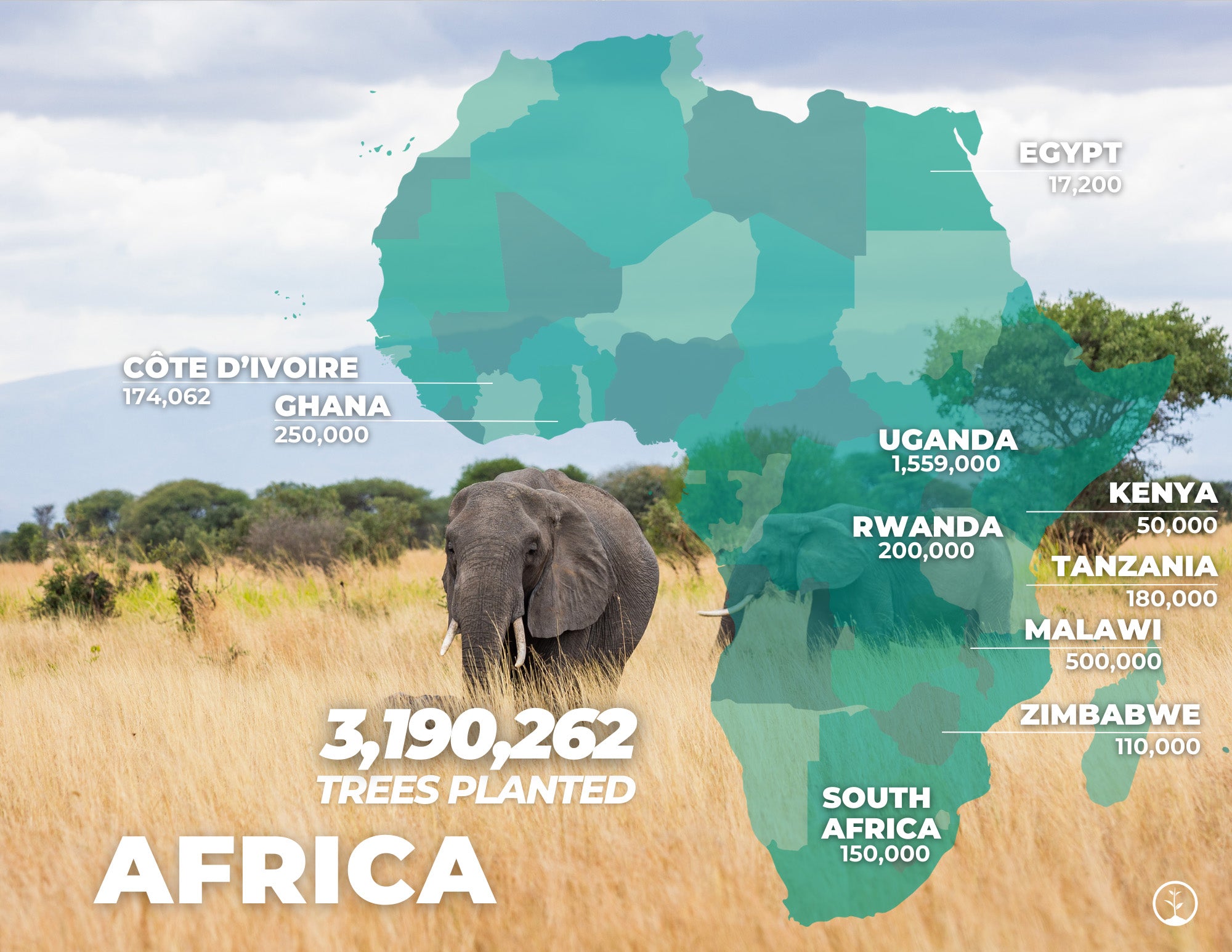 tree planting stats Africa