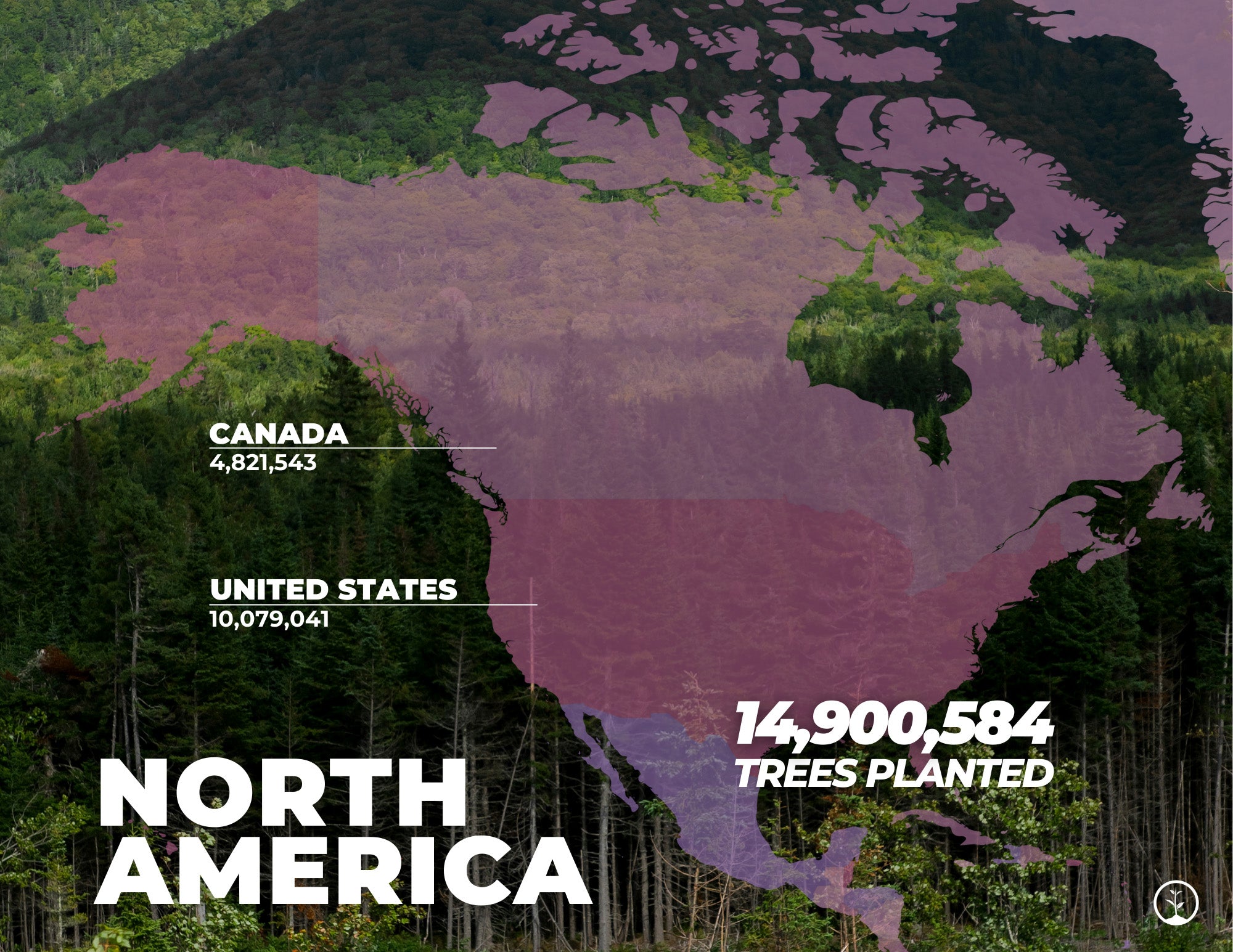 tree planting stats north america