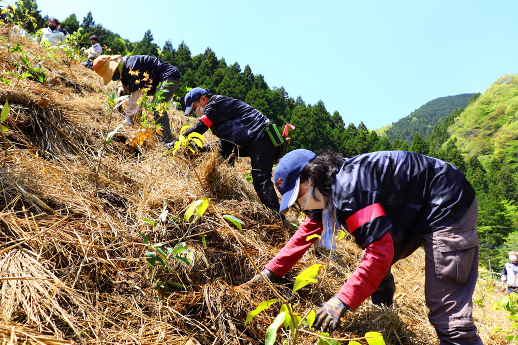 plant a tree day volunteers