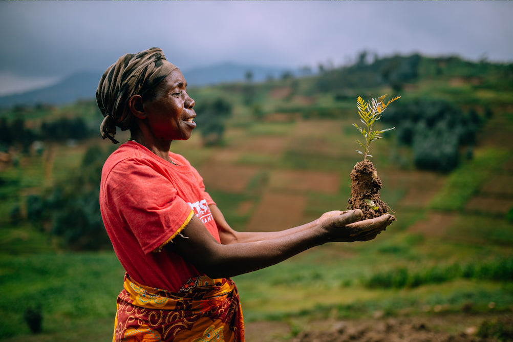 one tree planted rwanda
