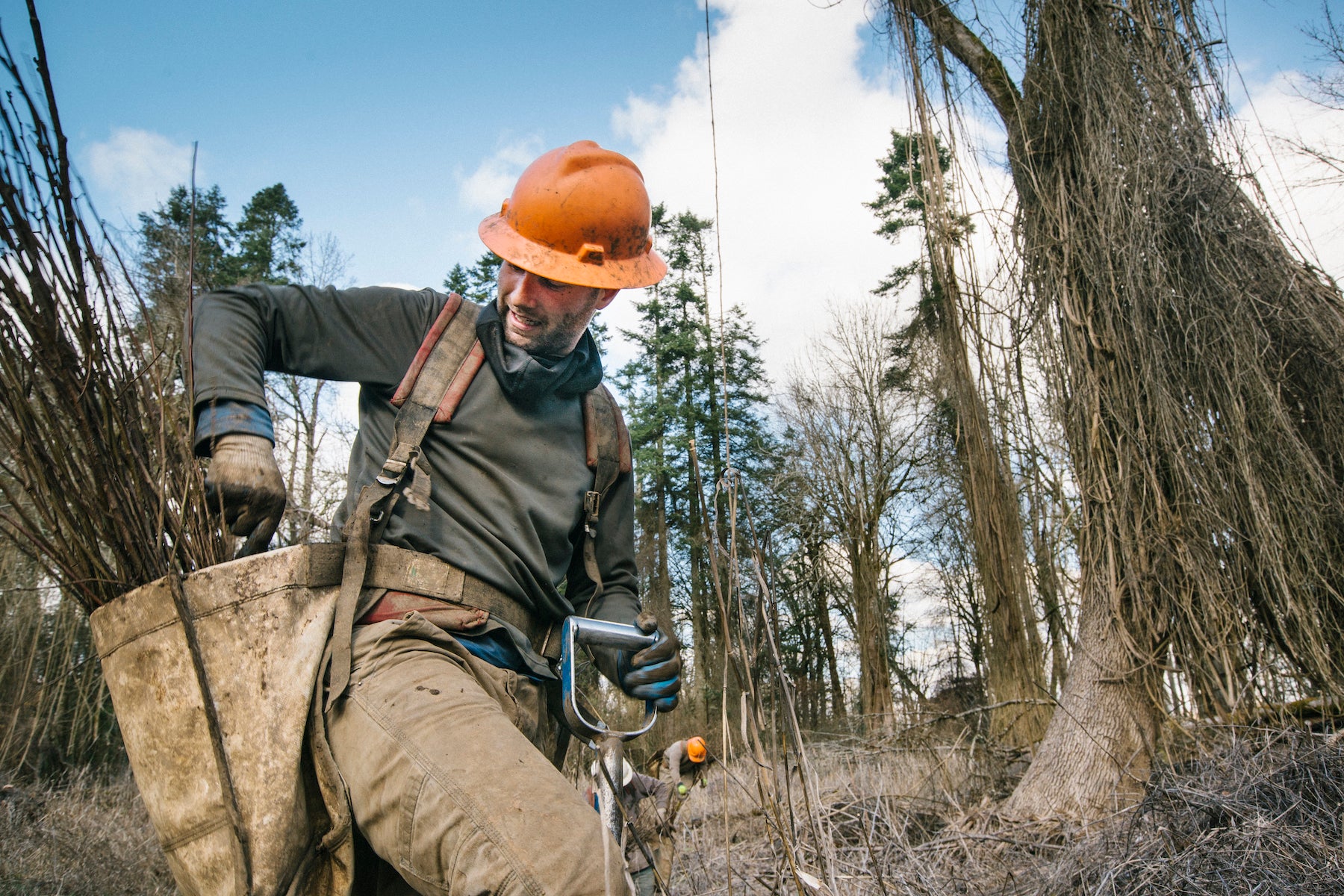 Tree planter in forest