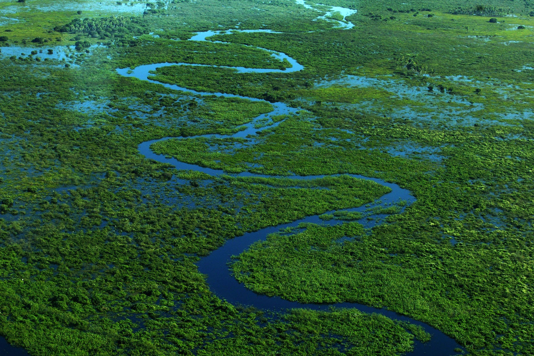 patanal largest tropical wetland