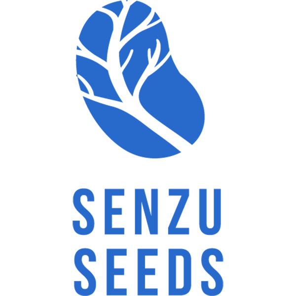 Senzu Seeds