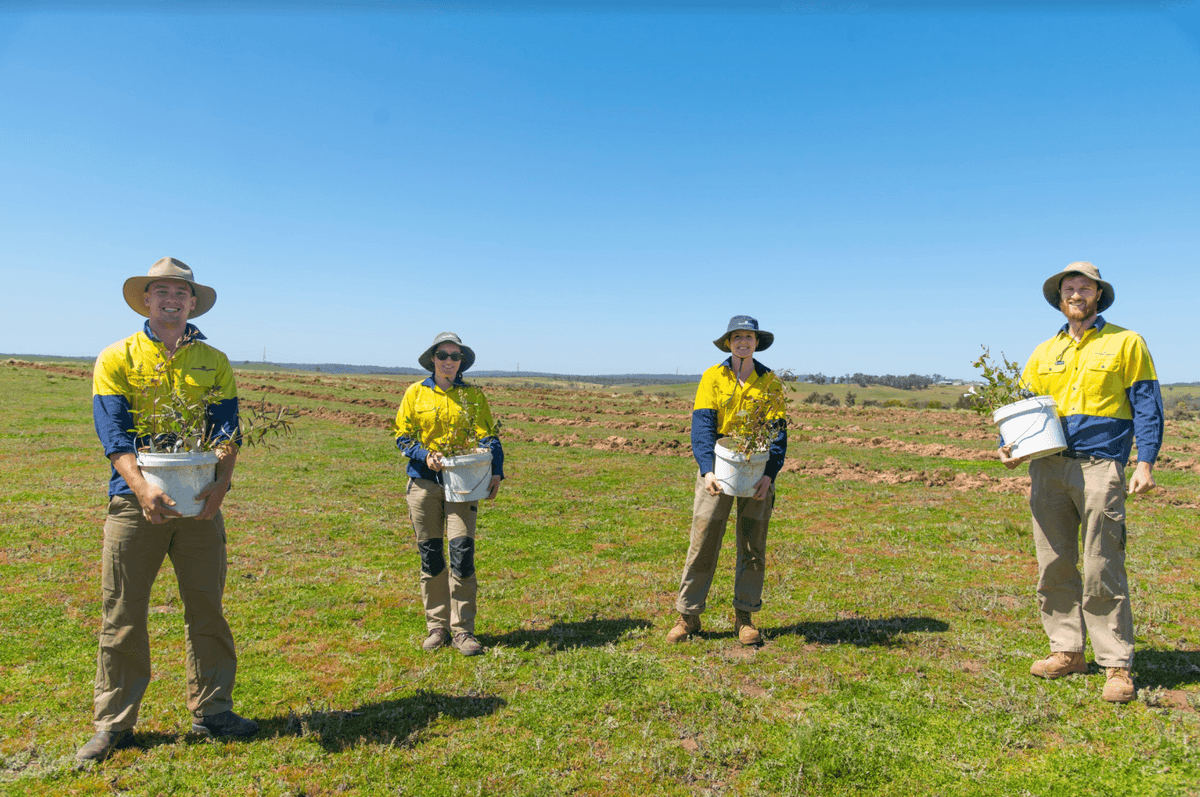 Reforestation staff ready to plant trees in Australia