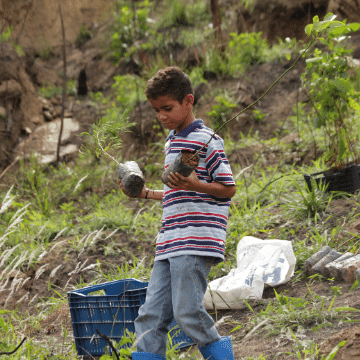 Boy planting trees