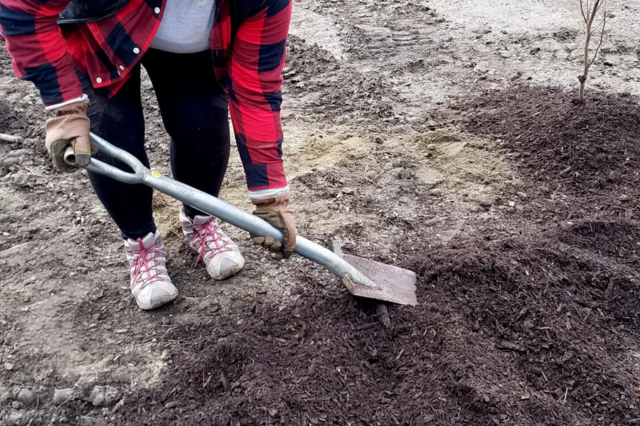 Digging a hole to plant a tree