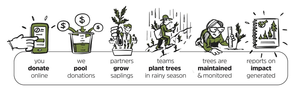 Como o trabalho de plantação de árvores