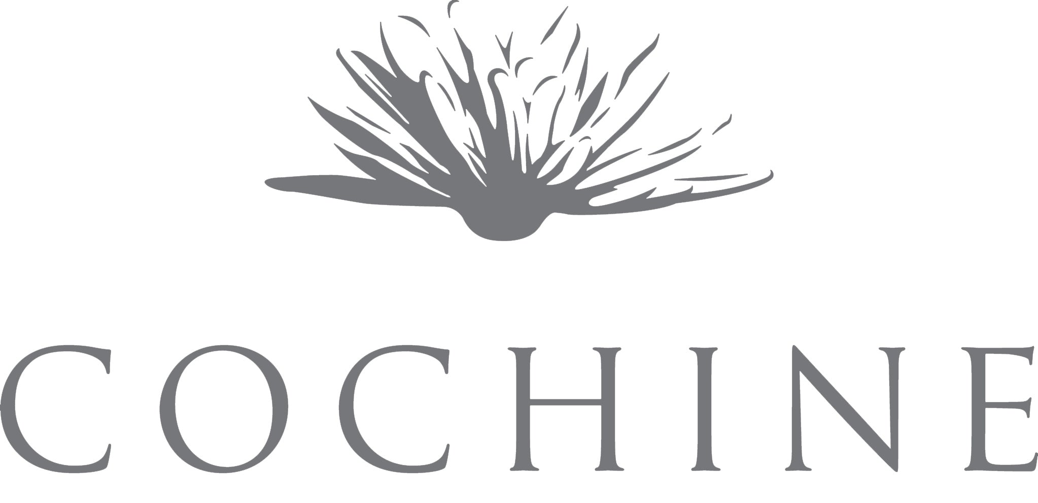 Cochine logo