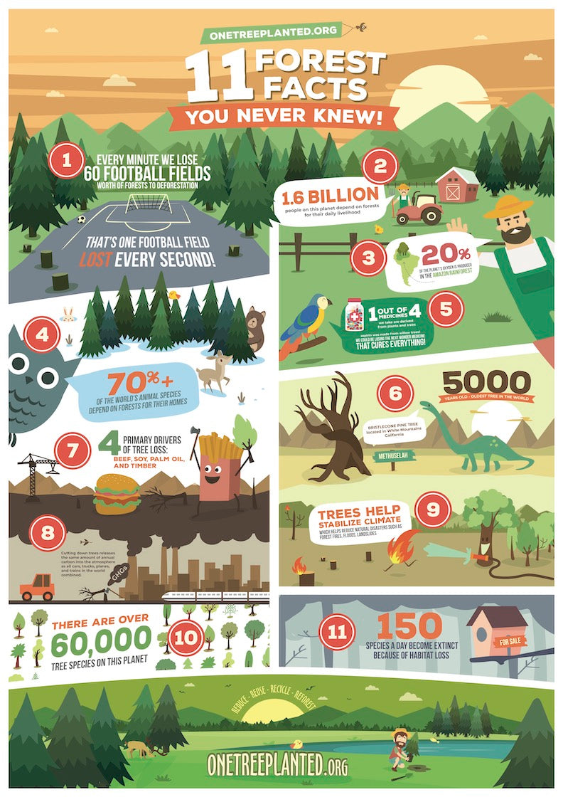 stop deforestation posters for kids