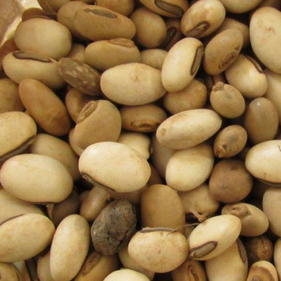 Tree seeds in Rwanda