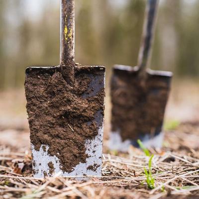 Uma árvore plantada - como funciona