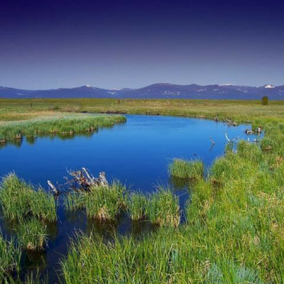 Oregon watersheds