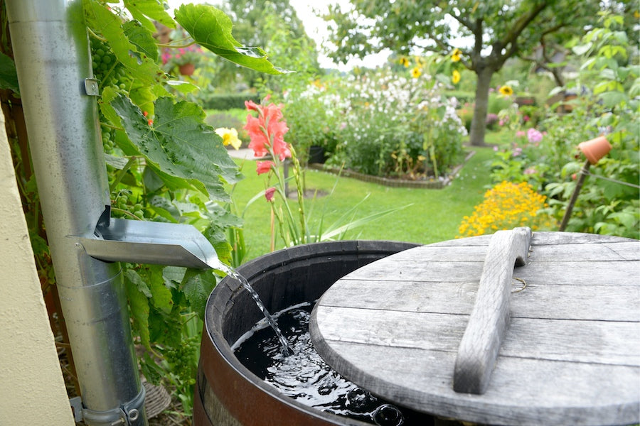 rainwater harveseting