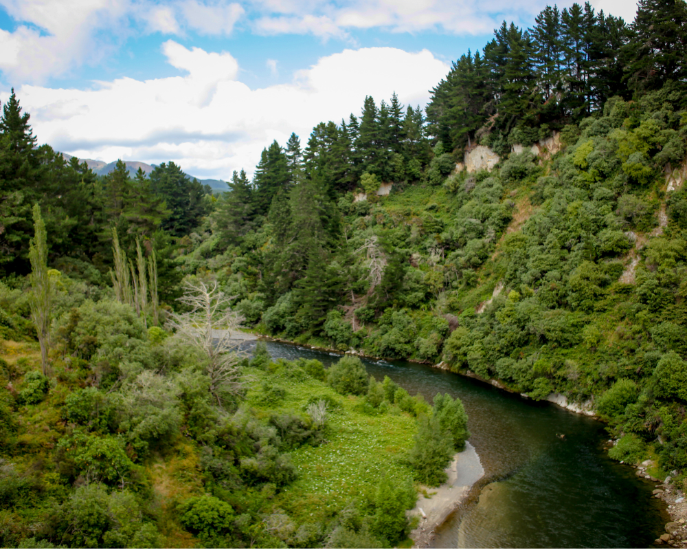 New Zealand Watersheds