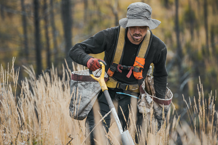 British columbia reforestation